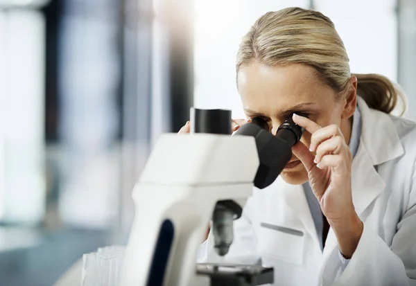 Przejdźmy do drobiazgów. Przycięte ujęcie atrakcyjnej dojrzałej kobiety naukowca za pomocą mikroskopu podczas badań w jej laboratorium. — Zdjęcie stockowe