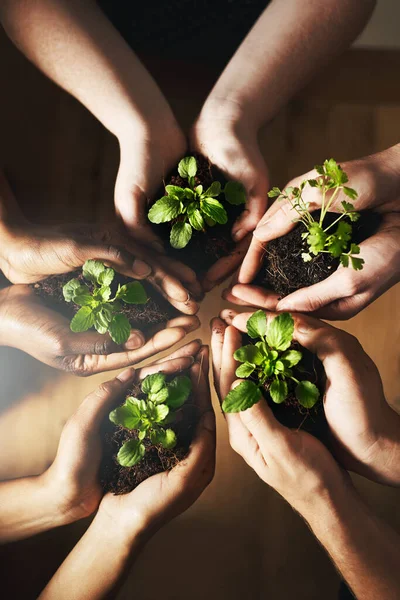 Cada pedacinho ajuda. Tiro cortado de um grupo de pessoas segurando plantas que crescem fora do solo. — Fotografia de Stock