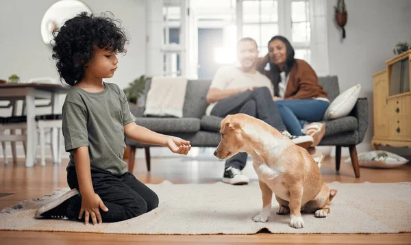 E 'una sorpresa per un trucco. Girato di un ragazzino legare con il suo cane mentre i suoi genitori si siedono sullo sfondo. — Foto Stock