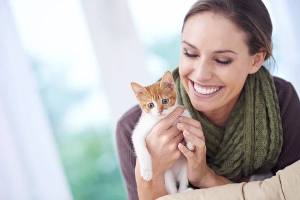 Čas strávený s kočkami se nikdy nepromrhá. Zastřelen atraktivní mladá žena drží kotě. — Stock fotografie