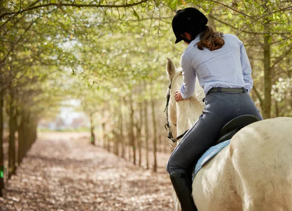 Getting ready to stretch those legs. Shot of an unrecognisable woman horseback riding through the forest during the day. — Stock Photo, Image