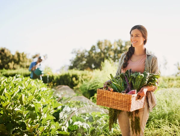 Bőséges termést hozol. Egy boldog fiatal farmerről, aki gyógynövényeket és zöldségeket gyűjt egy kosárban a farmján.. — Stock Fotó