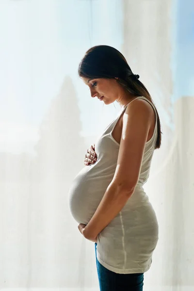 Het moederschap is haar wonder. Shot van een zwangere vrouw wiegen haar buik terwijl staan in de voorkant van een raam thuis. — Stockfoto