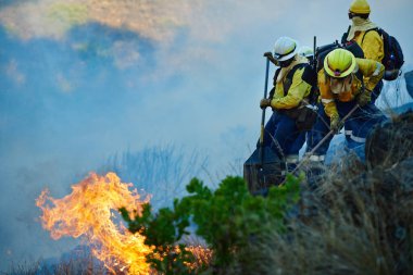 Where theres smoke, theres fire and fire fighters. Shot of fire fighters combating a wild fire. clipart