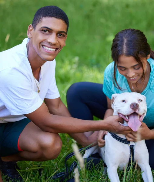 Aile zamanı en iyi zamandır. Genç bir çiftin köpekleriyle birlikte doğada bir günün tadını çıkarırken çekilmesi.. — Stok fotoğraf