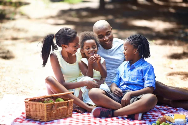 Tillbringar lite familjetid utomhus. Skjuten av en familj njuter av en picknick i skogen. — Stockfoto