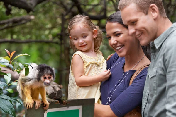 Ze snapten eindelijk de evolutietheorie..... Gesneden foto van een gelukkige jonge familie die de dag doorbracht in een apenreservaat. — Stockfoto