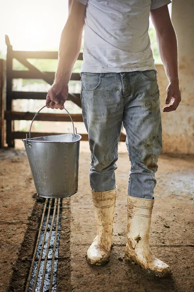Это молоко нужно обработать. Обрезанный снимок мужчины-фермера, несущего ведро молока в сарае. — стоковое фото