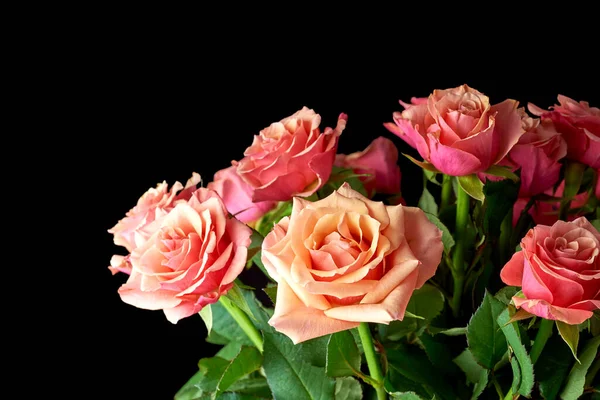 Sólo para ti. Estudio de una foto de rosas. — Foto de Stock