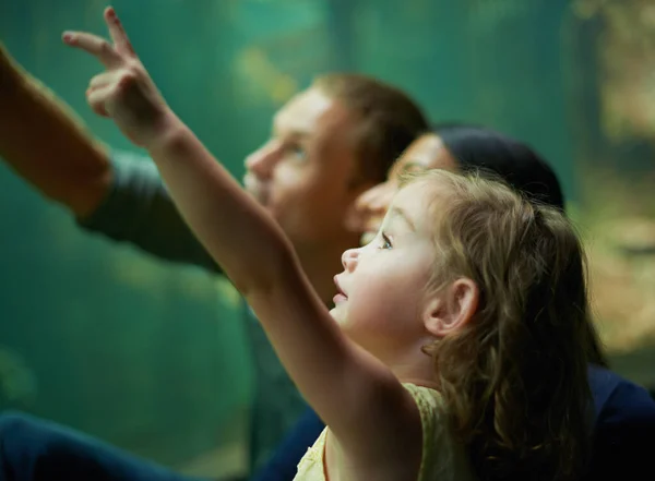 Waar gaat die heen? Opname van een gezin van drie op een uitstapje naar het aquarium. — Stockfoto