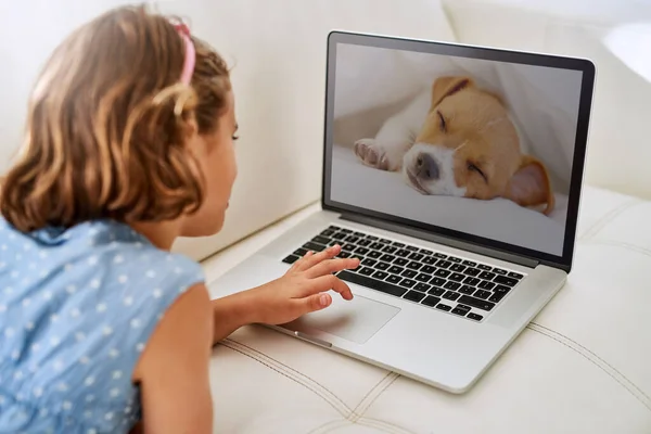 Vorrei poter avere un cucciolo tutto mio. Colpo ritagliato di una giovane ragazza che utilizza un computer portatile a casa. — Foto Stock