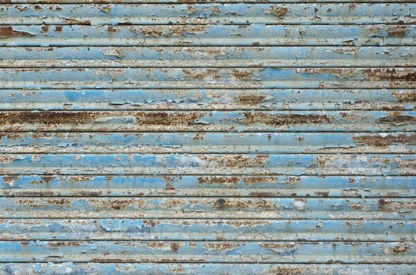 Rusty garage door. bright blue paint peeling off a rusty iron garage door.