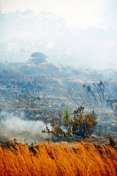 Leaving nothing in its wake. Shot of a wild fire burning. — Stockfoto