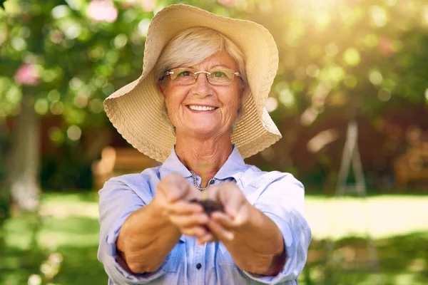 Crescere una vita che ti renda felice. Girato di una donna anziana che tiene una manciata di terreno con una pianta che cresce da esso. — Foto Stock