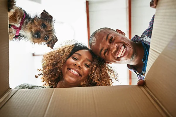 Смотри, что мы нашли. Низкоугольный портрет веселой пары и их собаки, смотрящей в коробку вместе, чтобы увидеть, что внутри. — стоковое фото