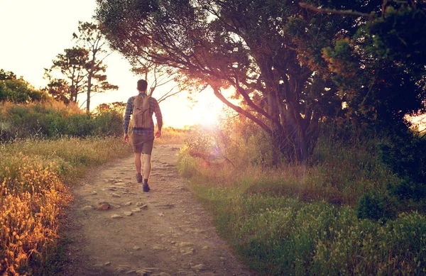 Wandelen in de wildernis. Schot van een knappe jongeman genietend van een wandeling. — Stockfoto