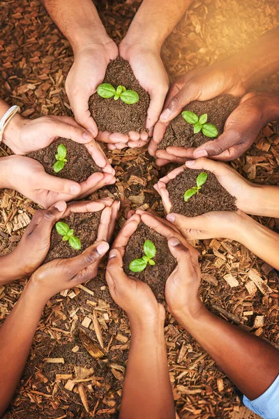 L'équipe qui travaille ensemble grandit ensemble. Plan recadré d'un groupe de personnes tenant des plantes poussant dans le sol. — Photo