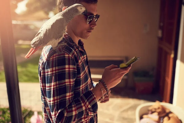 Buds of a feather flock together. Shot of a young man using his phone with his pet parrot perched on his shoulder.