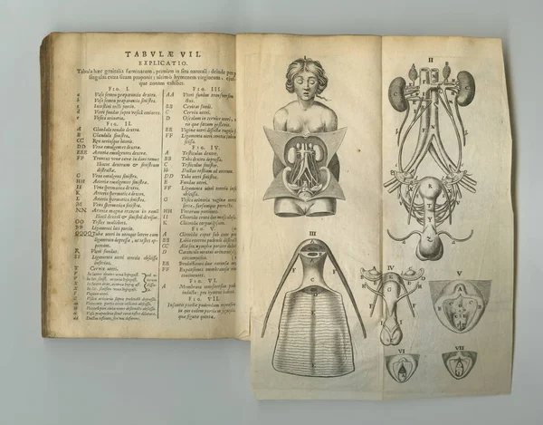 Медицинский журнал. A old anatomy book with its pages on display. — стоковое фото