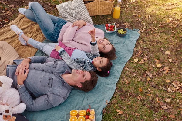 Mi prendo del tempo per la famiglia al parco. Girato di una giovane famiglia felice che si gode un picnic nel parco. — Foto Stock