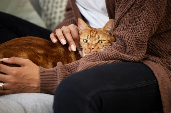 Sembra proprio di essere a casa. Girato di una giovane donna legare con il suo gatto mentre seduto a casa. — Foto Stock