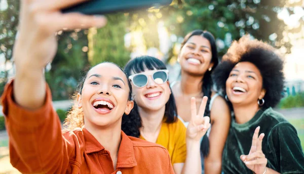 Non dimenticheranno mai come li hai fatti sentire. Girato di un gruppo di amici che si fanno un selfie in un parco. — Foto Stock