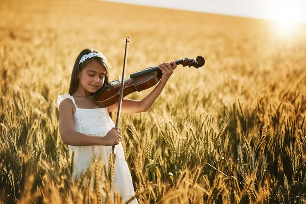 Segui la canzone nel tuo cuore. Ritratto di una graziosa bambina che suona il violino in piedi in un campo di grano. — Foto Stock