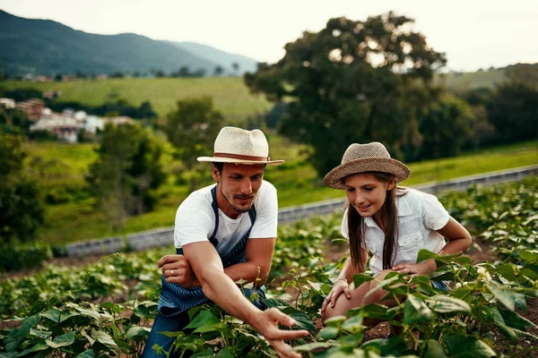 Навчання їй сільського господарства. Повнометражний знімок красивого чоловіка та його молодої дочки, що працює на полях на своїй фермі . — стокове фото