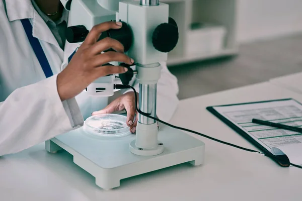 Er blijft niets verborgen onder het microscooplicht. Gesneden opname van een onherkenbare vrouwelijke wetenschapper met behulp van een microscoop tijdens het werken in een laboratorium. — Stockfoto
