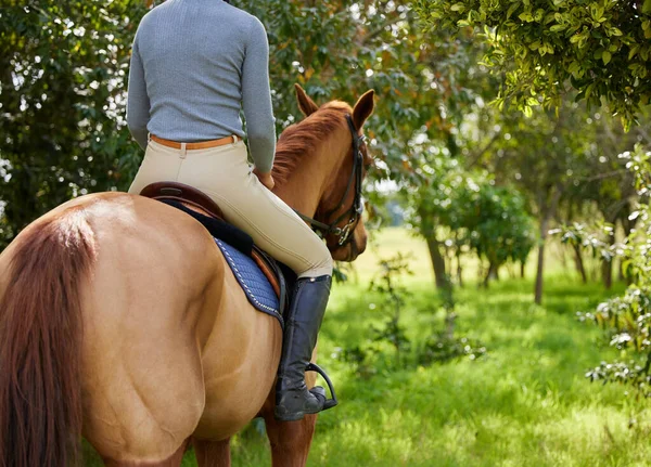 En bra häst är svår att ersätta. Skjuten av en oigenkännlig hona ridande en häst i en skog. — Stockfoto