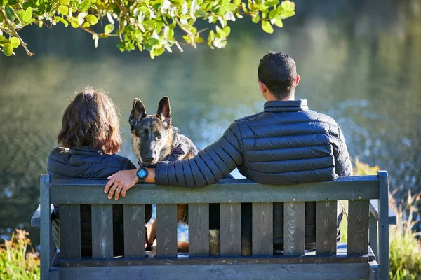 Köpeğimiz olmadan bir hafta sonu bile geçiremeyiz. Köpeğiyle bankta oturup göle bakan bir çiftin dikiz görüntüsü.. — Stok fotoğraf