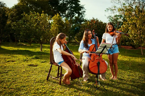 Siamo una sola famiglia musicale. Girato di una bella madre che suona strumenti con le sue adorabili figlie all'aperto. — Foto Stock