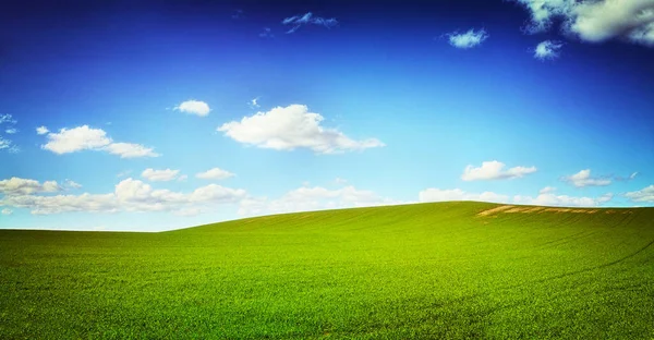 Un campo de hierba verde contra un cielo perfecto - copyspaceUna foto de paisaje de un campo verde y cielo azul - TODO el diseño de esta imagen es creado a partir de cero por el equipo de profesionales de Yuri Arcurs para — Foto de Stock