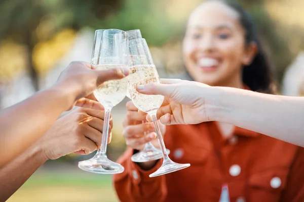We werent sisters by birth but by choice. Shot of friends toasting in a park. — Stock Photo, Image