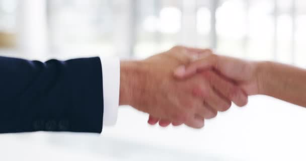Достижение соглашения. 4k видеозаписей двух неузнаваемых бизнесменов, пожимающих друг другу руки в офисе. — стоковое видео