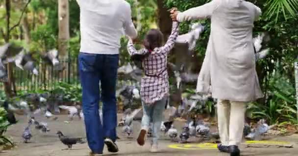She makes them both feel young again. 4k video footage of a little girl chasing birds with her grandparents at the park. — Stockvideo