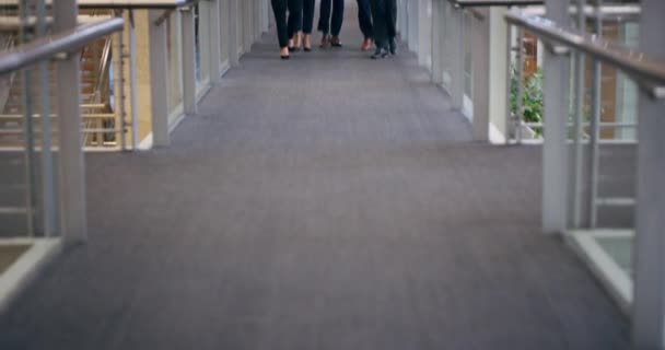 The only way to run a business, is together. 4k video footage of a group of businesspeople walking through their office building. — Wideo stockowe