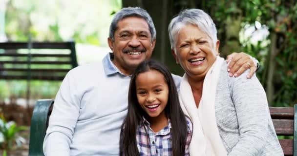 The greatest source of happiness comes from family. 4k video footage of grandparents bonding with their little granddaughter at the park. — Stockvideo