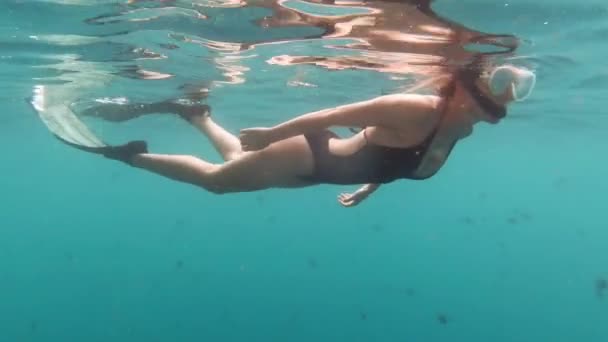 Es ist kein Ort wie der Ozean. 4k-Videoaufnahmen einer attraktiven jungen Frau, die in Schnorchelausrüstung im tiefblauen Ozean schwimmt. — Stockvideo