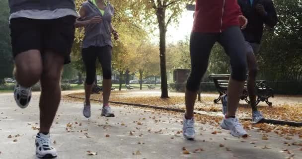 A group of friends jogging through the park together in slow motion. A group of fit friends running through the garden together during the day. A diverse group of people jogging in slow motion — Stockvideo