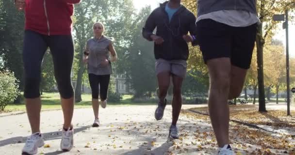 Sportskor från en mångsidig grupp vänner joggar tillsammans i parken på asfalten. En grupp vältränade vänner som springer tillsammans genom en trädgård. Vänner tränar tillsammans i grupp utanför — Stockvideo