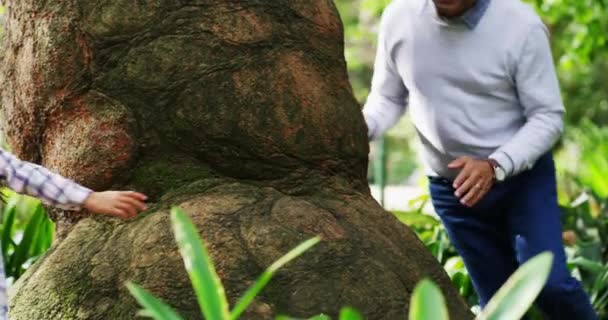 Catch me if you can. 4k video footage of a grandfather and his little granddaughter chasing each other around a tree at the park. — Stockvideo