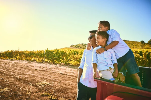 Насолоджуйтесь краєвидом. Знімок веселого батька і двох його молодих синів, які проводять якісний час разом, дивлячись на відстань і стоячи поруч з червоною пікап . — стокове фото