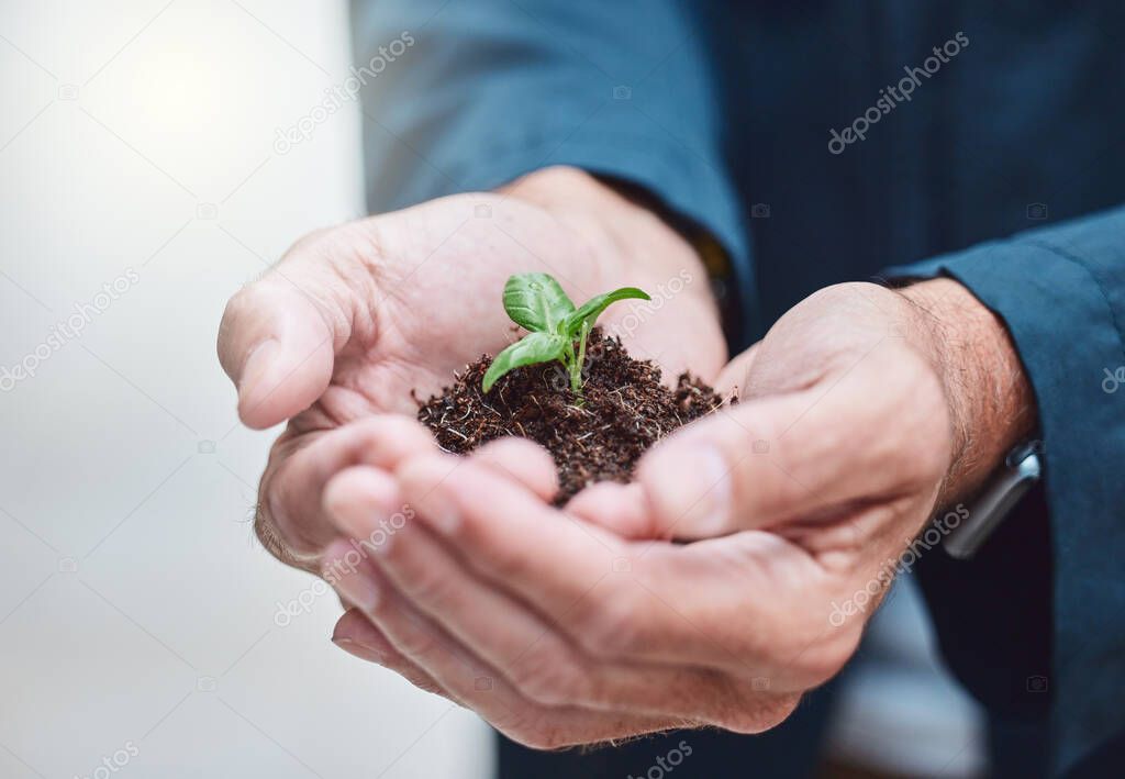 I used to be a seed and look at me now. Shot of an unrecognisable businessman holding a plant growing out of soil.