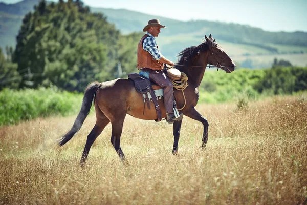 Jaeha. Schuss eines reifen Mannes auf einem Pferd in einem Feld. — Stockfoto