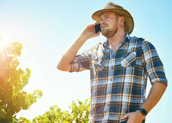 Recibiendo algunos consejos de un compañero granjero. Foto de un granjero hablando por teléfono mientras estaba en un viñedo. —  Fotos de Stock