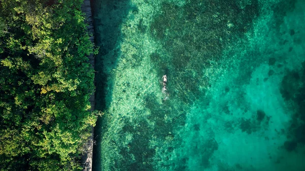 Yüzmek için mükemmel bir yer. Raja Ampat 'ın güzel adalarında yüzen tanınmayan bir adamın yüksek açılı çekimi.. — Stok fotoğraf