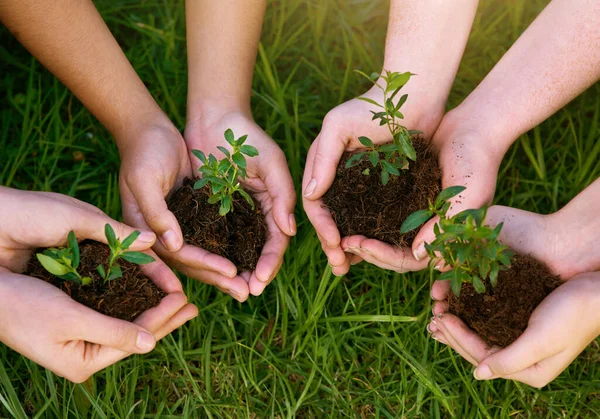 Το γρασίδι είναι πιο πράσινο εκεί που το φυτεύεις. Καλλιεργημένη φωτογραφία ομάδας ανθρώπων που καλλιεργούν φυτά από το έδαφος. — Φωτογραφία Αρχείου