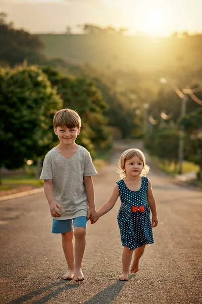 여동생 과 함께 교외를 산책하고 있어요. 사랑 스러운 어린 소년 이 그 의 여동생 과 손을 잡고 동네 도로 아래로 걷는 모습을 찍은 사진. — 스톡 사진