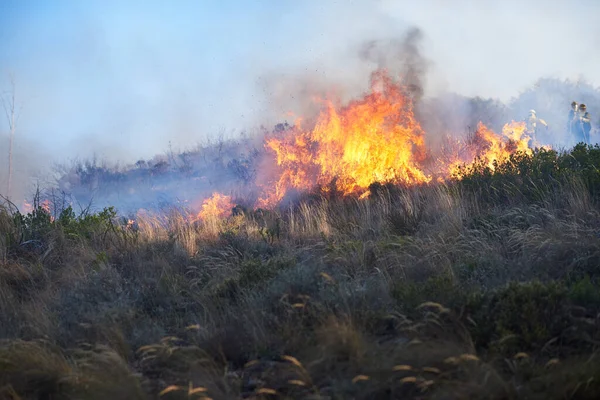 全てを燃やせ。山火事の銃撃だ. — ストック写真